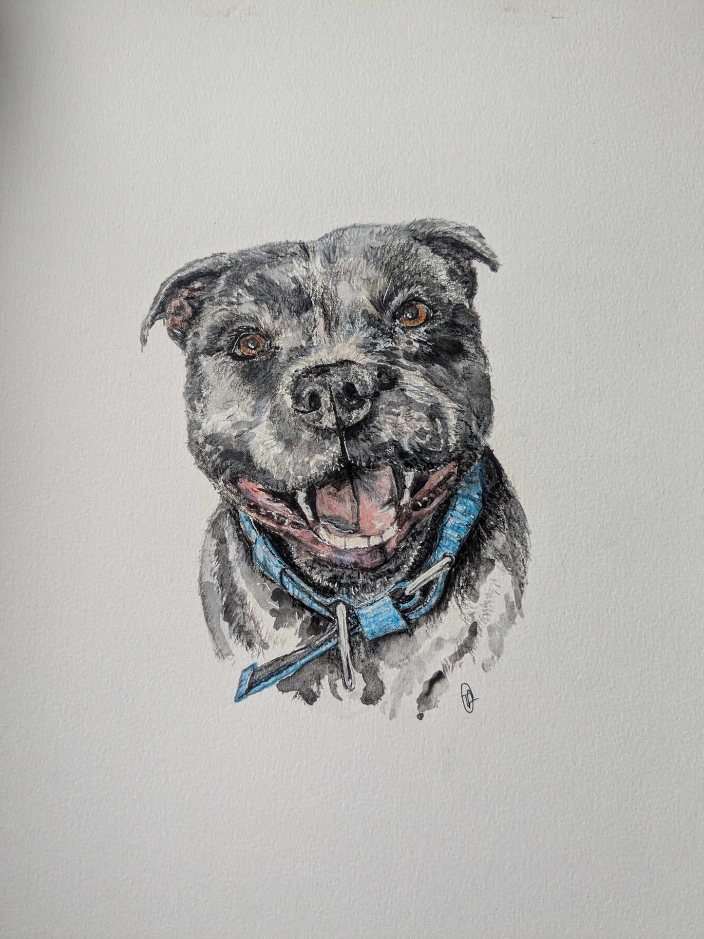 Bespoke Pet Portrait A4