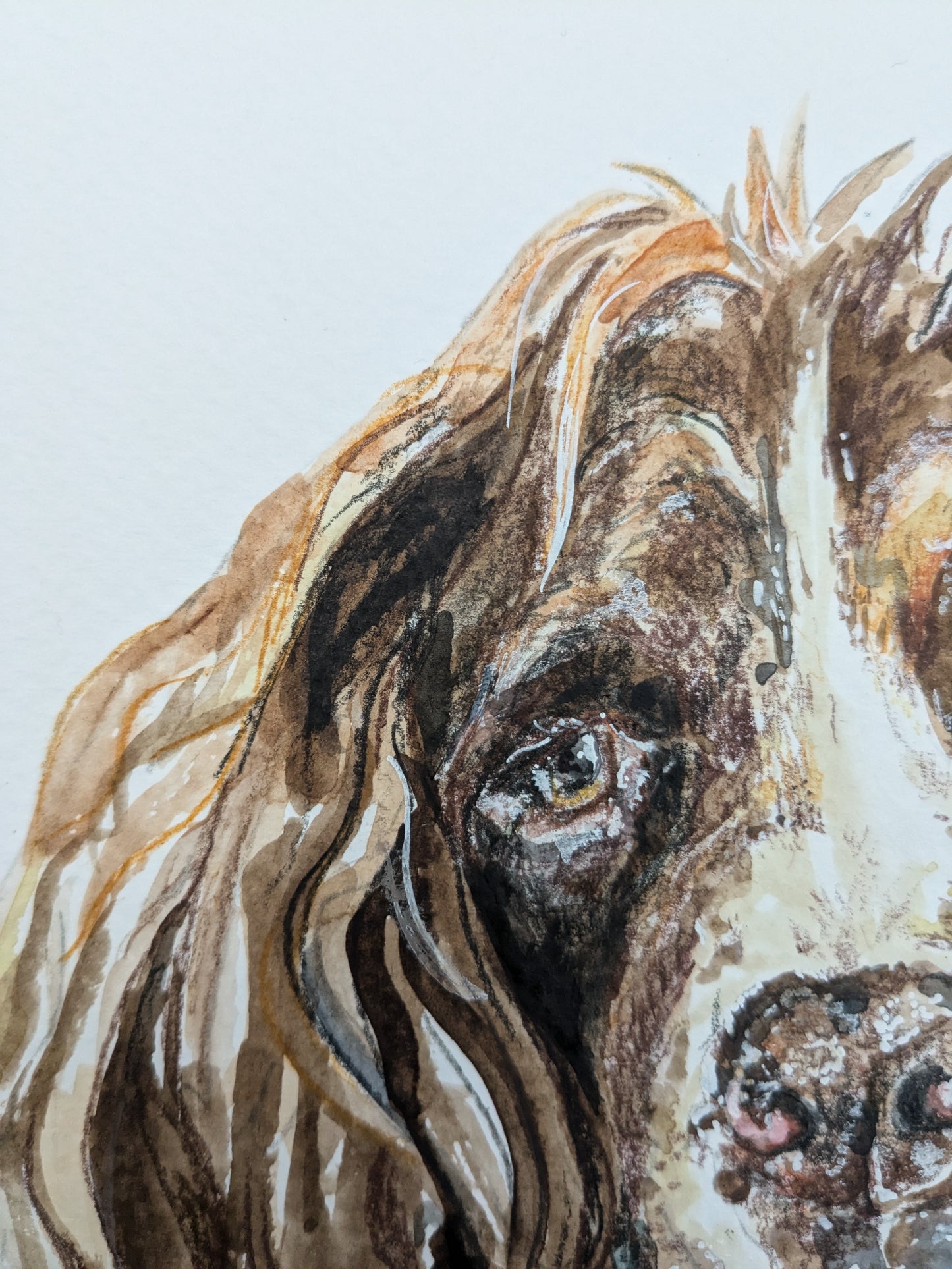 Bespoke Pet Portrait A4