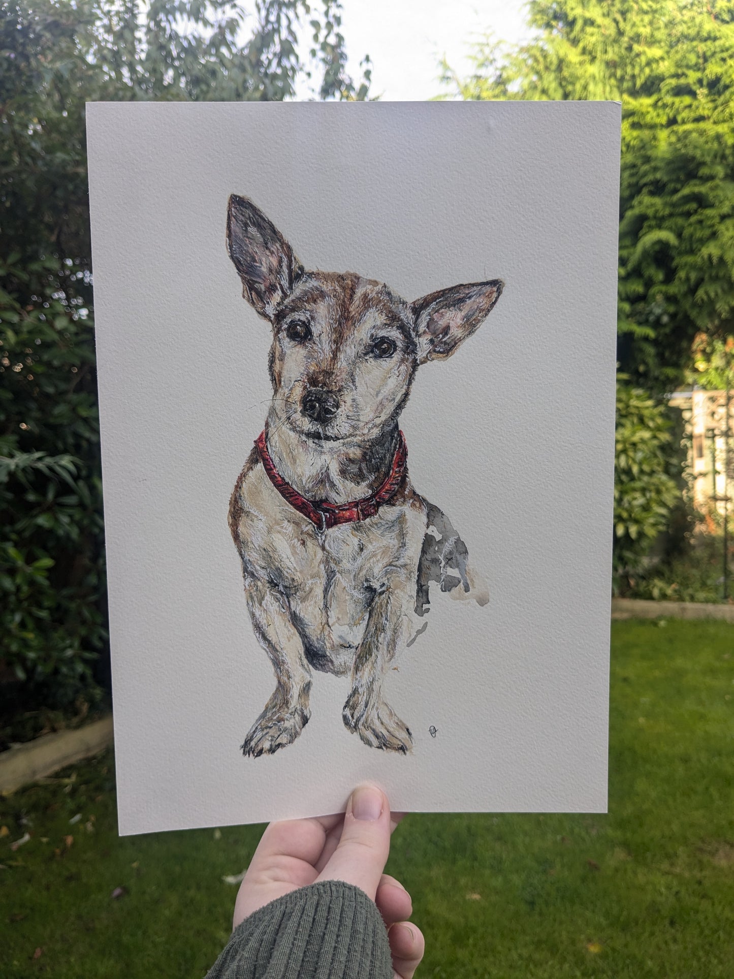 Bespoke Pet Portrait A4