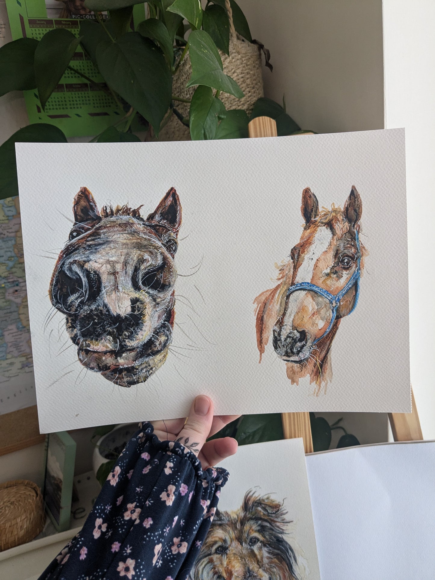 Custom horse boop pet portrait