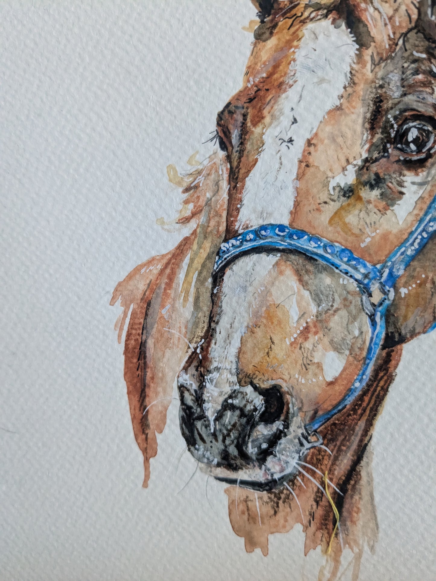 Custom horse boop pet portrait
