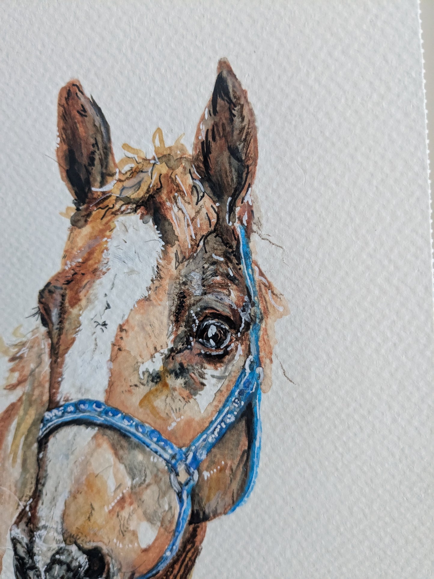 Custom horse boop pet portrait