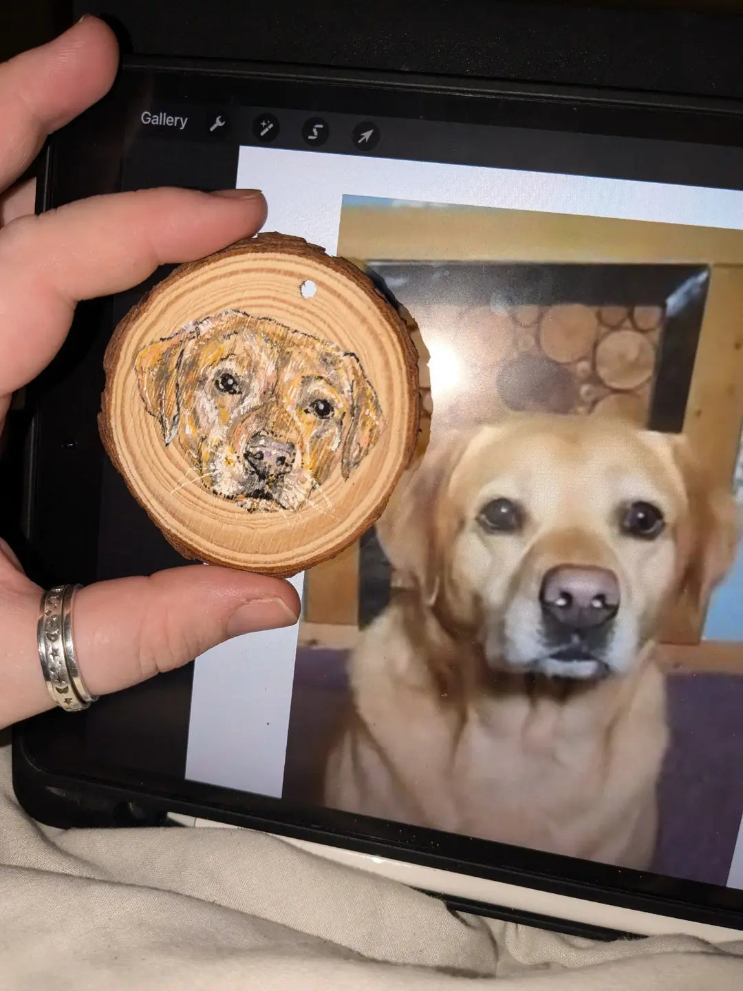 Pet portrait hand painted hanging decorations