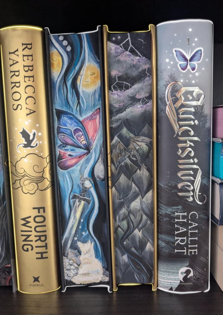 Fourth Wing DARK book edges