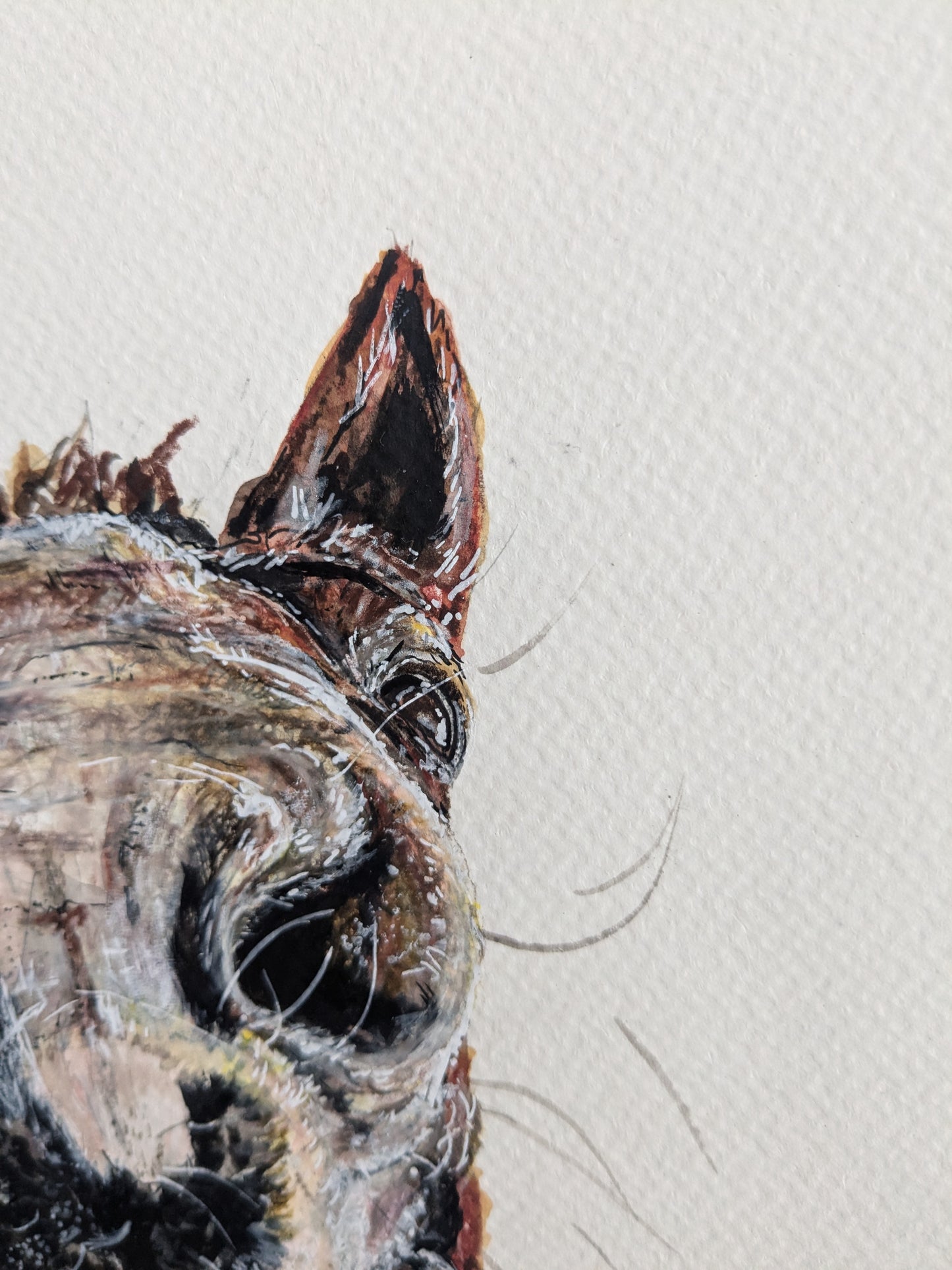 Custom horse boop pet portrait