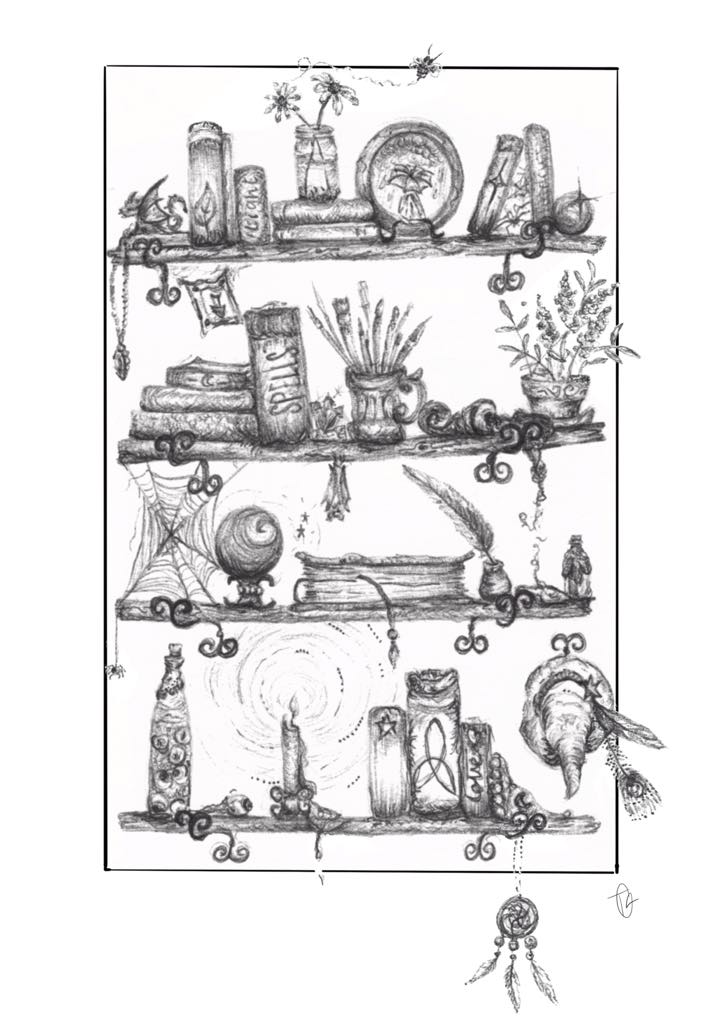 Witches spooky mystical shelves illustrated print