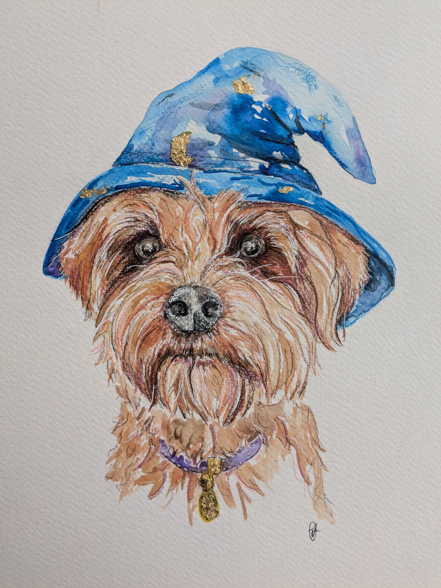 Custom pet portrait with magical twist