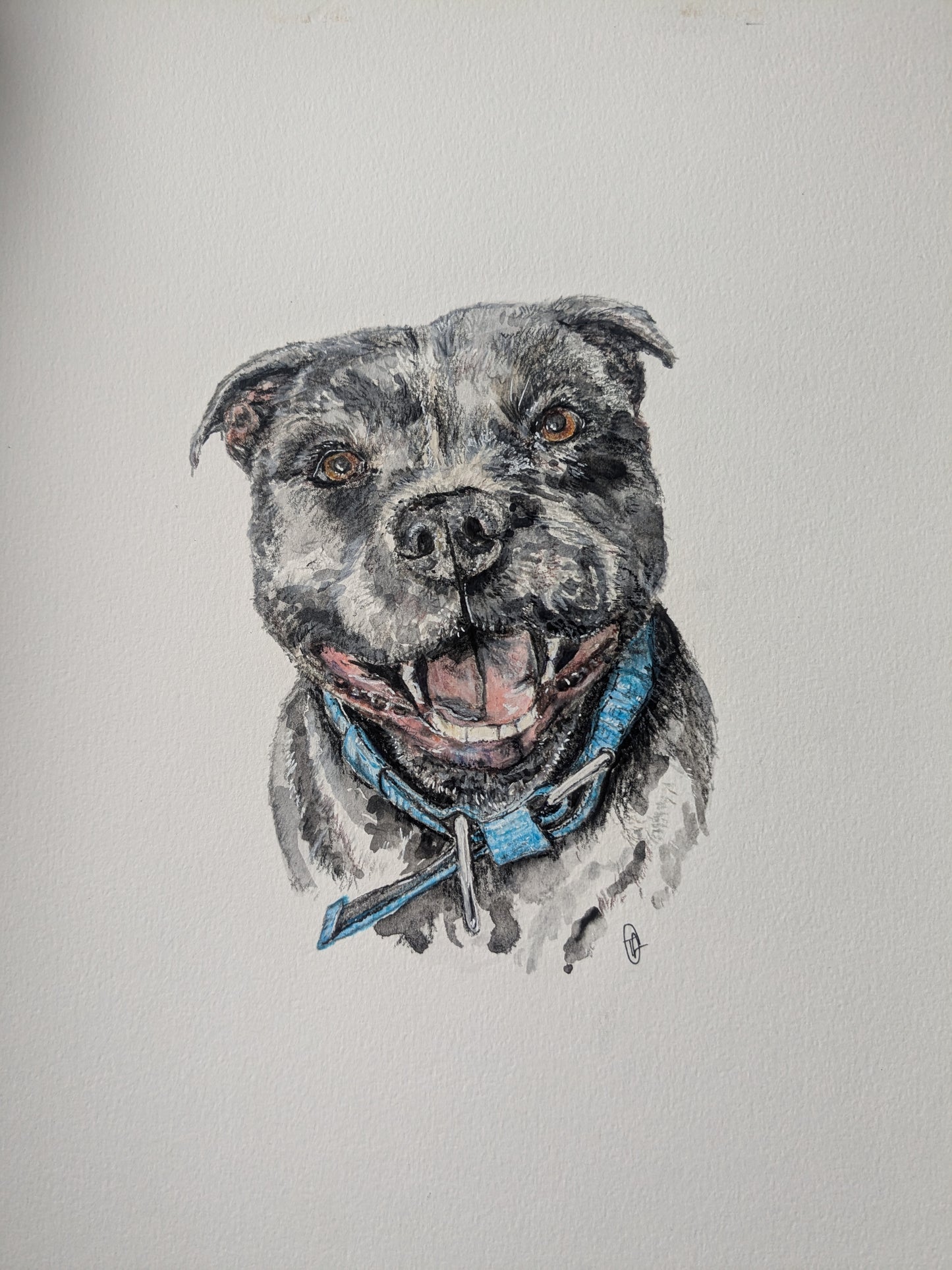 Custom pet portrait