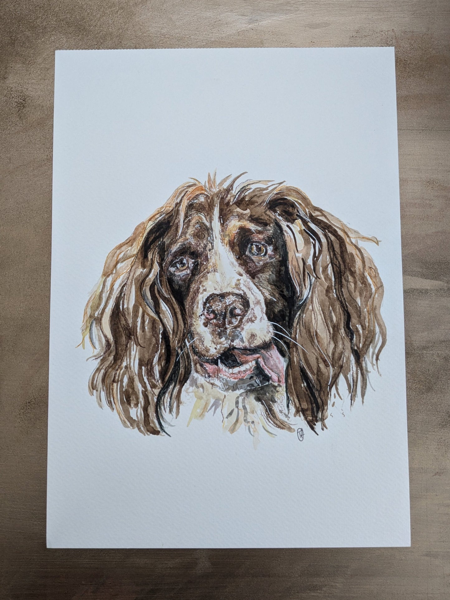 Custom pet portrait