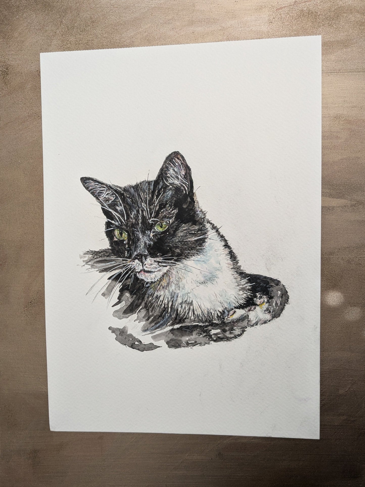 Custom pet portrait