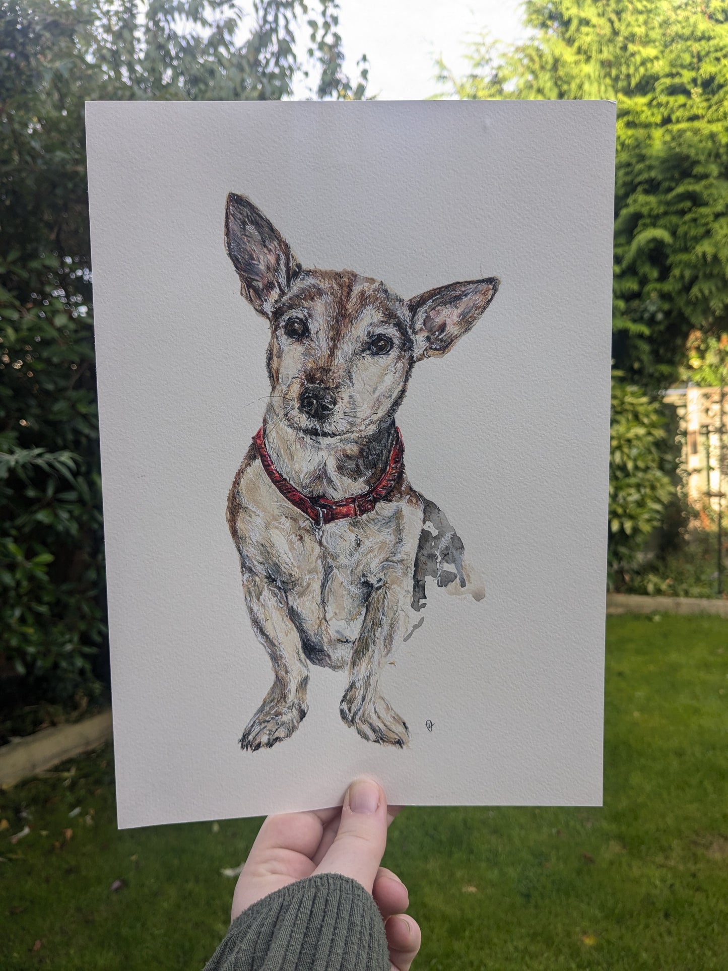 Custom pet portrait