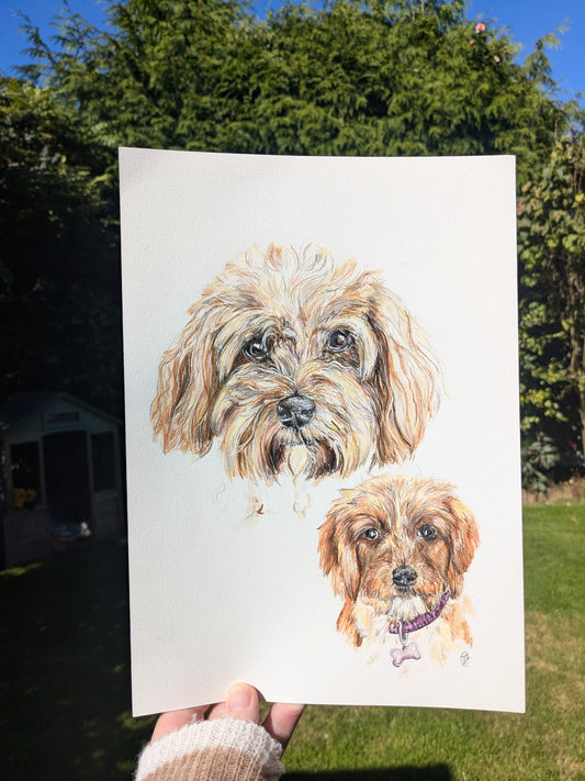 Custom pet portrait 'time flies' same pet as a baby and grown